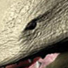 Bullete Model